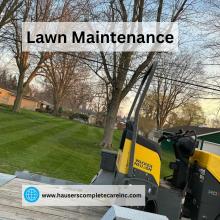 Low Maintenance Landscaping