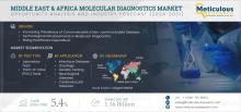 #moleculardiagnostics, #middleeasthealthcare, #africanhealthmarket, #healthcaretechnology, #diagnostictrends, #infectiousdiseases, #biotechindustry, #healthcaregrowth, #medtechinnovation, #marketresearch, #MEAhealthcare, #laboratorydiagnostics, #genetictesting, #healthcareanalytics, #diagnosticmarket
