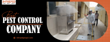 best pest control company in Dubai