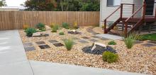 Alex Tree and Garden Services