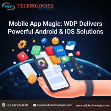  custom software development 