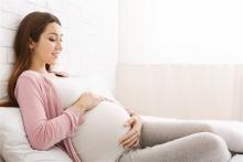surrogacy lawyer near me