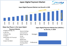   Japan Digital Payment Market Revenue, 