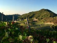 Land with views for Sale in Piemonte