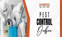 pest control in Dubai