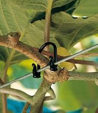 plant ties for trellis