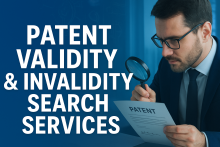 Patent Validity & Invalidity Search Services | IIP Search