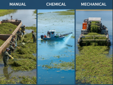 WEEDOO GREENBOAT, Inc.