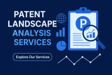 Patent Landscape Analysis and Search Report Services by IIP Search