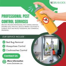 Professional Pest Control Ottawa