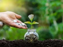 mutual fund investment platform