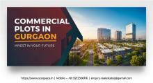 Explore affordable ready to move commercial spaces Gurgaon with RERA-approved, freehold, and high-return properties near Dwarka Expressway and New Gurgaon.