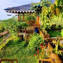 Experience a serene stay at The Kodai Heaven, offering mountain valley view rooms in Kodaikanal. One of the best resorts in Vattakanal for a peaceful retreat.