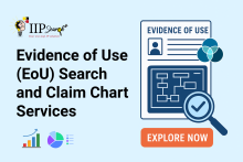 Evidence of Use (EoU) Search and Claim Chart Services