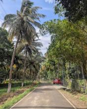 best resorts in tamilnadu, best resorts in coimbatore for team outing, couple friendly resorts in coimbatore, best palakkad resorts, resort near palakkad with swimming pool