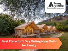 Best Farm Resorts Near Delhi for a Day Outing