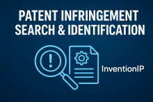 Patent Infringement Search & Identification Services