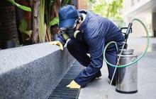 termite inspections