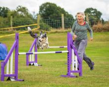 VO2 max testing, diastasis recti therapy, shoulder bursitis treatment