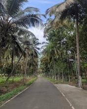 best hill view resort in coimbatore, best resorts in coimbatore, coimbatore luxury resorts, resort in coimbatore with swimming pool, premium stay in walayar