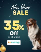 Happy New Year Happy Healthy Pets