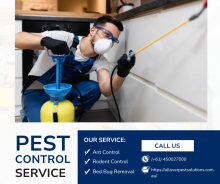 Pest Control in Melbourne