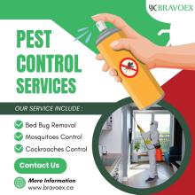 Pest Removal Company in Ottawa