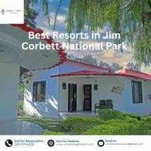 Resorts in Jim Corbett