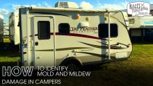 Identify Mold and Mildew Damage in Campers