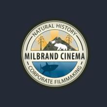 Wildlife Filmmaking