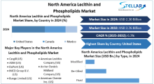 North America's lecithin & phospholipids market is being driven by rising demand for green and naturally sourced products, as well as rising consumer awareness of a healthy lifestyle. 