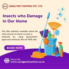 Suraj pest control