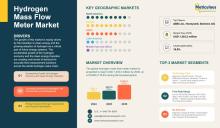#HydrogenMarket #MassFlowMeter