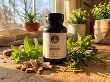 Ashwagandha and rhodiola ingredients in adrenal support supplements