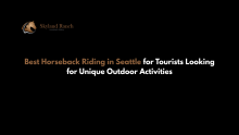 Best Horseback Riding in Seattle