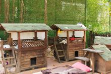 Dog Hostel in Bhubaneswar