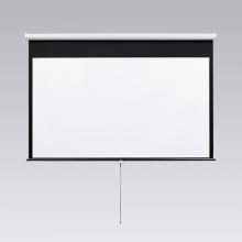 Draper Motorized Screen