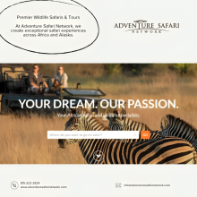 Premier Wildlife Safaris & Tours