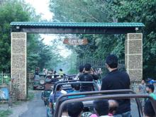 Jhirna Zone Jeep Safari Booking Near Ramnagar 