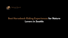  best horseback riding in Seattle 