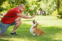 Dog Trainer in Chennai