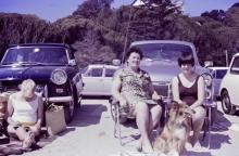 NDIS respite travel, NDIS respite travel services