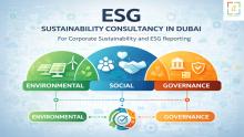 ESG framework developed by sustainability consultancy in Dubai for corporate sustainability and ESG reporting
