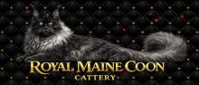Maine Coon Catteries