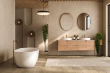  Bathroom Remodel in Dublin