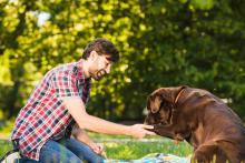 Dog Trainer in Nagpur