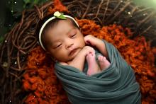 New Born Baby Photography