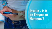  insulin hormone or enzyme