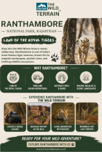 Ranthambore National Park in Rajasthan