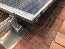 Critter Guard Installation